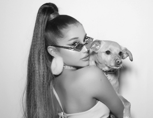 Ariana Grande And Toulouse