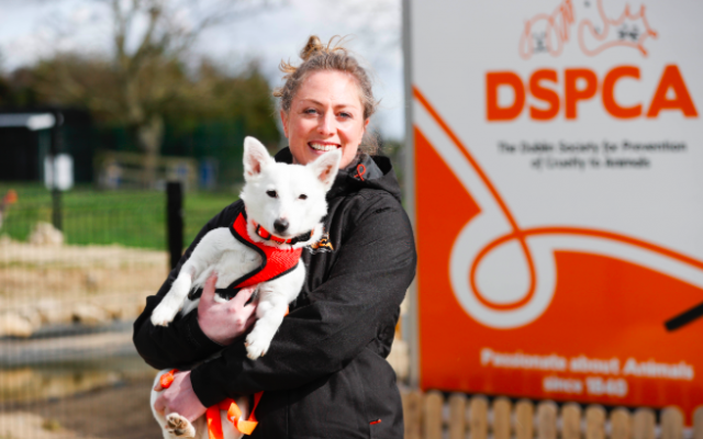DSPCA Urges Pet Owners To Train Their Dogs As 70% Surrendered Have Behaviour Issues - Vimarsana News