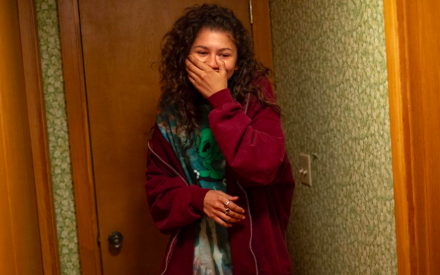 Why Everyone Is Saying Zendaya Deserves An Emmy - Vimarsana News