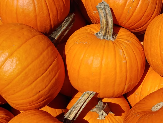 The 5 Best Pumpkin Carving Tips To Make Your Life Easier - Vimarsana News