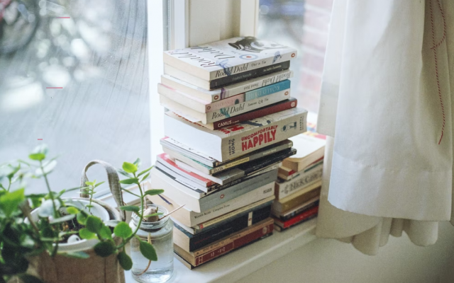 Ready To Get Cosy? Here's What To Read This Month - Vimarsana News