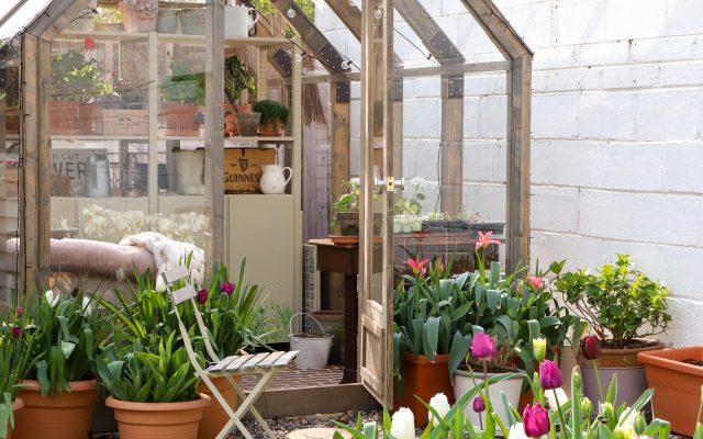 Easy Steps To Create Your Dream Garden This Spring - Vimarsana News