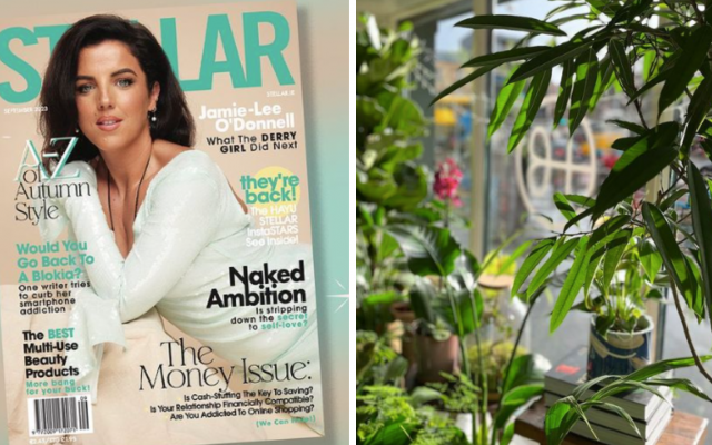 Everything Team STELLAR Is Loving This Week - Vimarsana News
