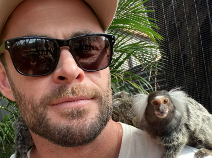 Chris Hemsworth Celebrates 40th Birthday | Stellar