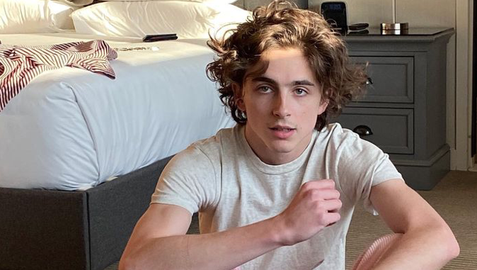 Timothée Chalamet And Saoirse Ronan Were Supposed To Be In Barbie - Vimarsana News