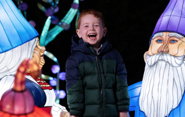 Dublin Zoo Announce This Year's Wild Lights Theme - Vimarsana News