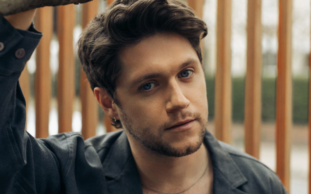 New Niall Horan Music Is On The Way - Vimarsana News