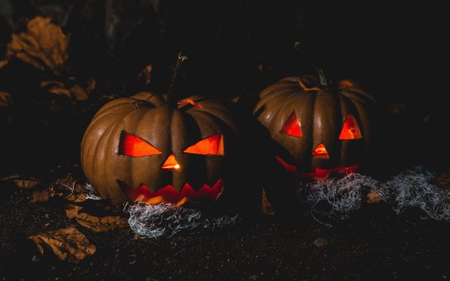 Five Spooky Things To Do Around The Country This October - Vimarsana News