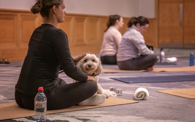 My Movement: How Dog Yoga Is Becoming The New Workout Of Choice - Vimarsana News